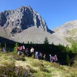 Cima Bocche